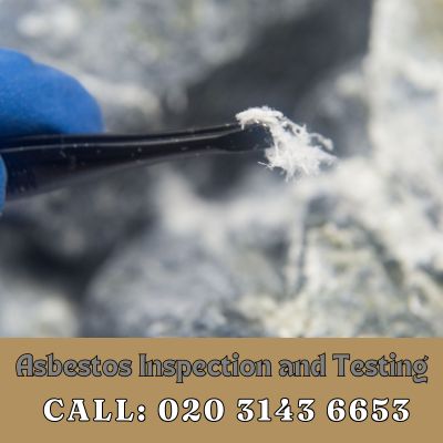 Comprehensive Asbestos Inspection and Testing Services in Olympic Park